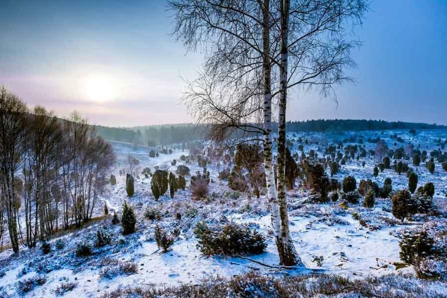 Ferienwohnung Im Auetal - Wohnung I Hanstedt Екстер'єр фото