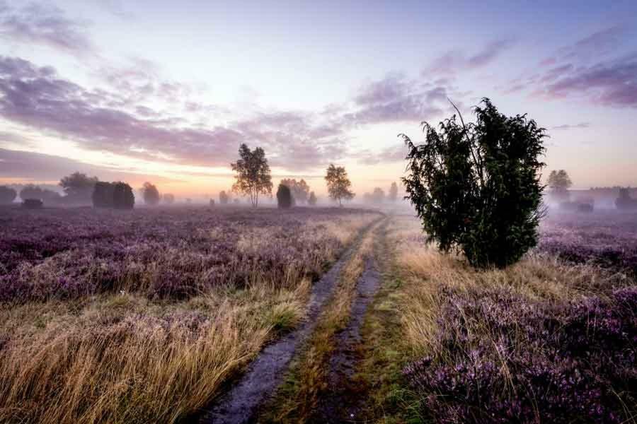 Ferienwohnung Im Auetal - Wohnung I Hanstedt Екстер'єр фото